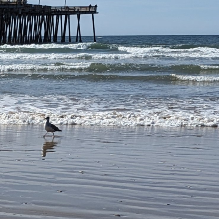 Photo for Schilling and Equations in the Sand