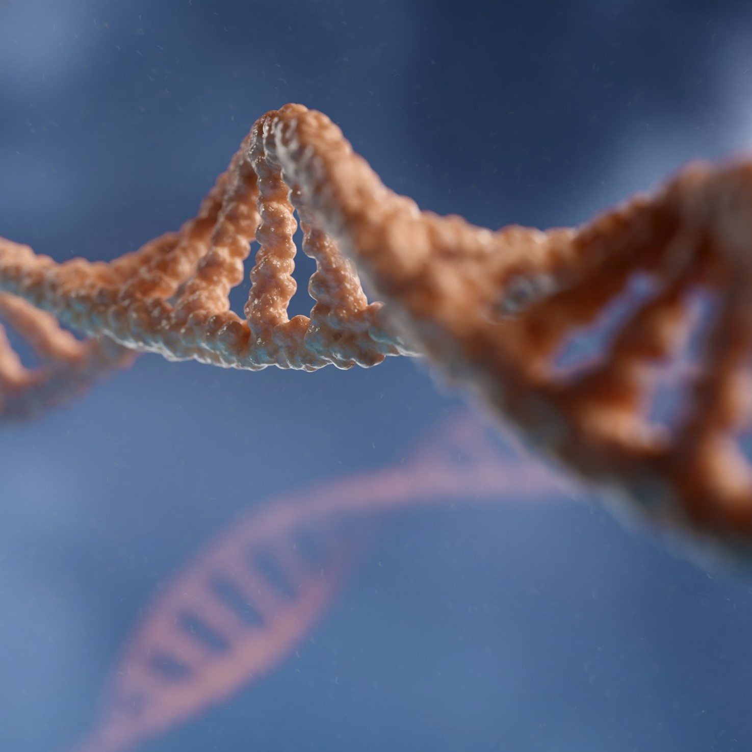 Photo for Vazquez on Predicting DNA Shapes with Language Theory